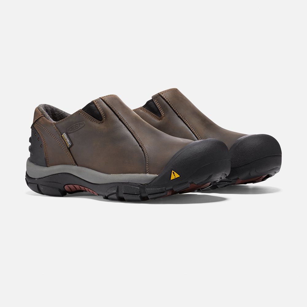 Slip-On Keen Homme Marron | Brixen Waterproof Basse | XPNJK-3561